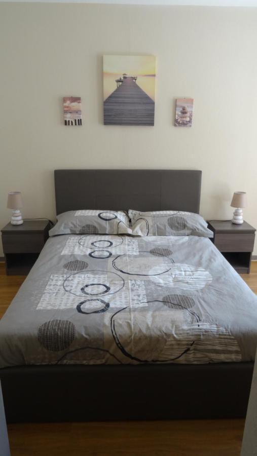 Appart T2 Standing Tout Confort Avec Balcon - Parking En Option Lyon Eksteriør billede