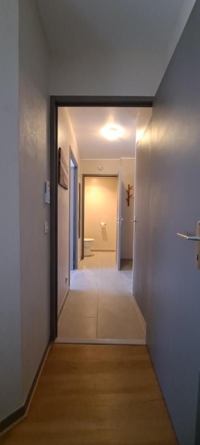 Appart T2 Standing Tout Confort Avec Balcon - Parking En Option Lyon Eksteriør billede
